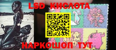 прущие крисы Кингисепп