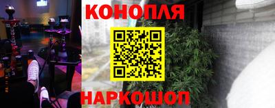 стафф Кимры