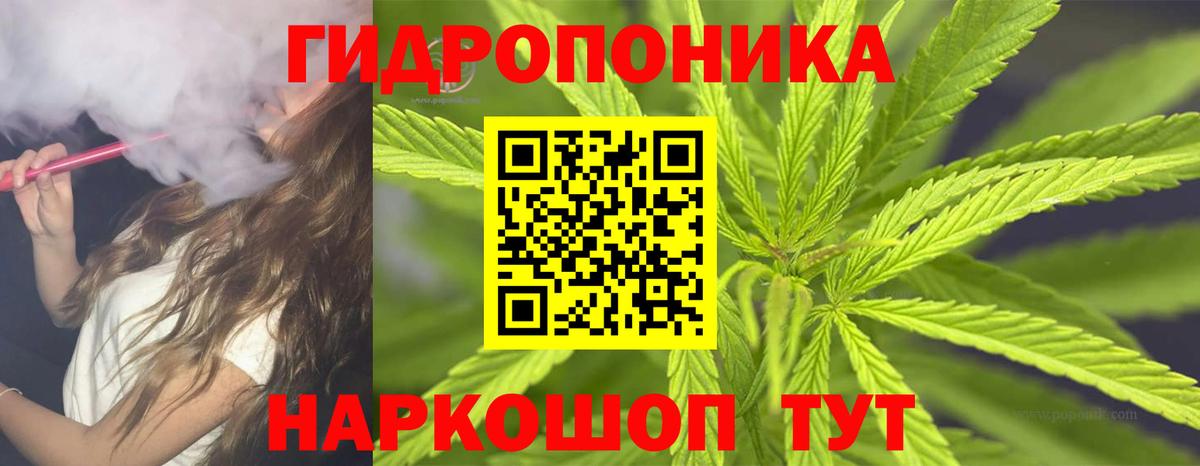 Бошки марихуана семена  Канабис Bruce Banner  Вход с VPN  МАРИХУАНА LSD WEED  Заринск 